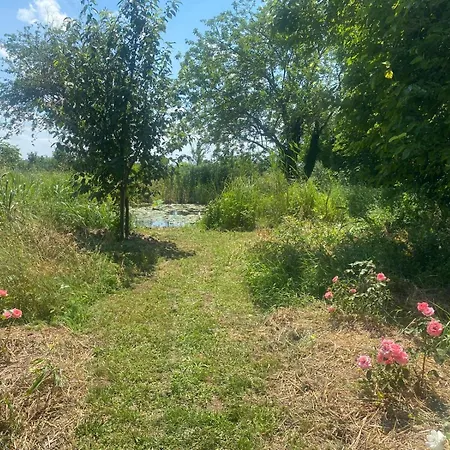 Corte Pagliare Deserto, Antico Palazzo Con Piscina * La Cappelletta